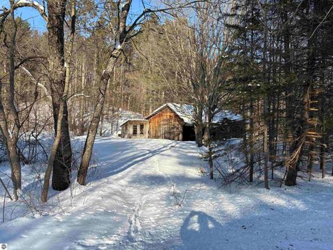 Tiny photo for 5039 Indian Hill Road, Honor, MI 49640 (MLS # 1939516)