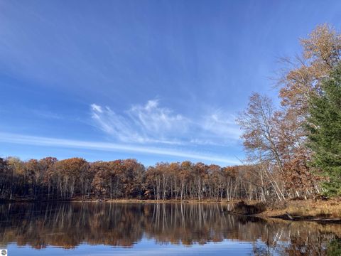 Tiny photo for 4141 Mockingbird Circle, Farwell, MI 48622 (MLS # 1936315)