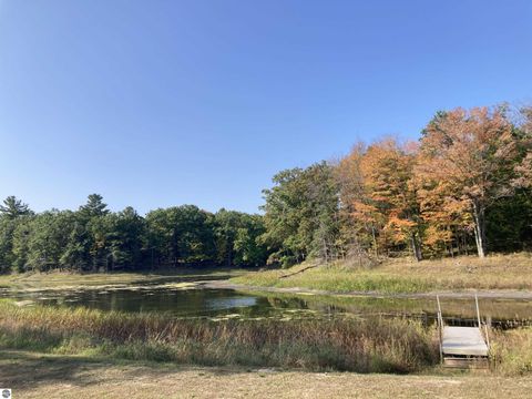 Tiny photo for 4141 Mockingbird Circle, Farwell, MI 48622 (MLS # 1936315)