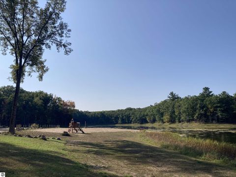 Tiny photo for 4141 Mockingbird Circle, Farwell, MI 48622 (MLS # 1936315)