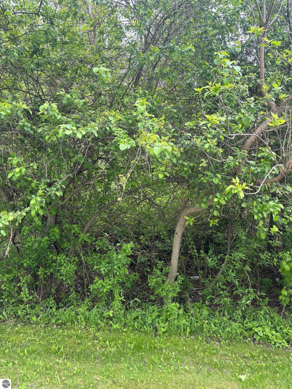 Photo of 49 Leona Drive, Mt Pleasant, MI 48858 (MLS # 1934606)