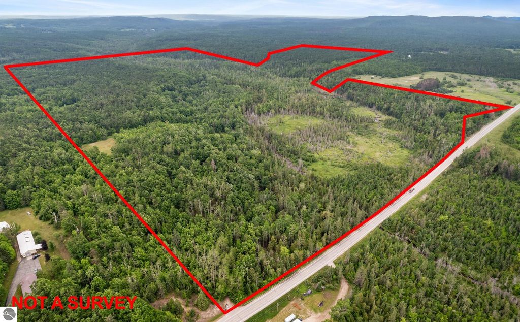 Photo of 1133 W Thumb Lake Road, Wolverine, MI 49795 (MLS # 1930887)