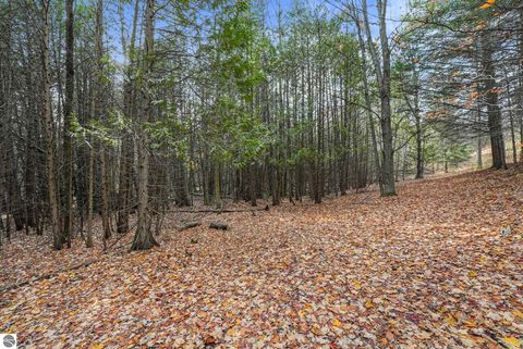 Tiny photo for 750 N Dumas Road, Suttons Bay, MI 49682 (MLS # 1940642)