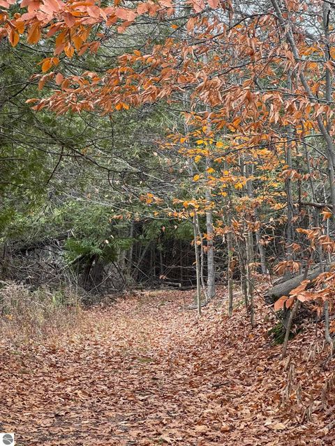 Tiny photo for 750 N Dumas Road, Suttons Bay, MI 49682 (MLS # 1940642)