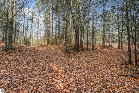 Tiny photo for 750 N Dumas Road, Suttons Bay, MI 49682 (MLS # 1940642)