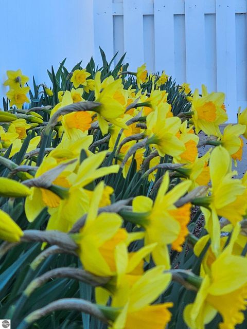 Tiny photo for 750 N Dumas Road, Suttons Bay, MI 49682 (MLS # 1940642)