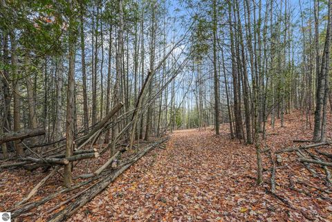 Tiny photo for 750 N Dumas Road, Suttons Bay, MI 49682 (MLS # 1940642)