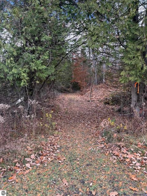 Tiny photo for 750 N Dumas Road, Suttons Bay, MI 49682 (MLS # 1940642)