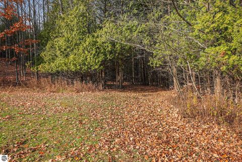 Tiny photo for 750 N Dumas Road, Suttons Bay, MI 49682 (MLS # 1940642)