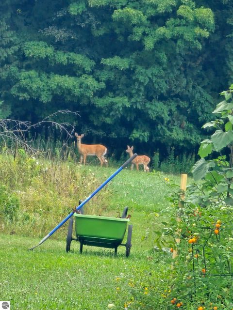 Tiny photo for 750 N Dumas Road, Suttons Bay, MI 49682 (MLS # 1940642)