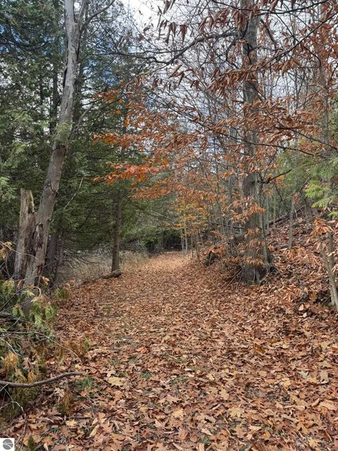 Tiny photo for 750 N Dumas Road, Suttons Bay, MI 49682 (MLS # 1940642)