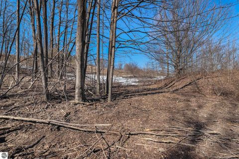 Tiny photo for 00 E Sugar Maple Court, Suttons Bay, MI 49682 (MLS # 1939121)