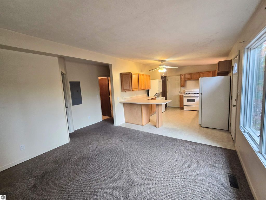 Photo of 123 Akron Street, Cadillac, MI 49601 (MLS # 1939740)