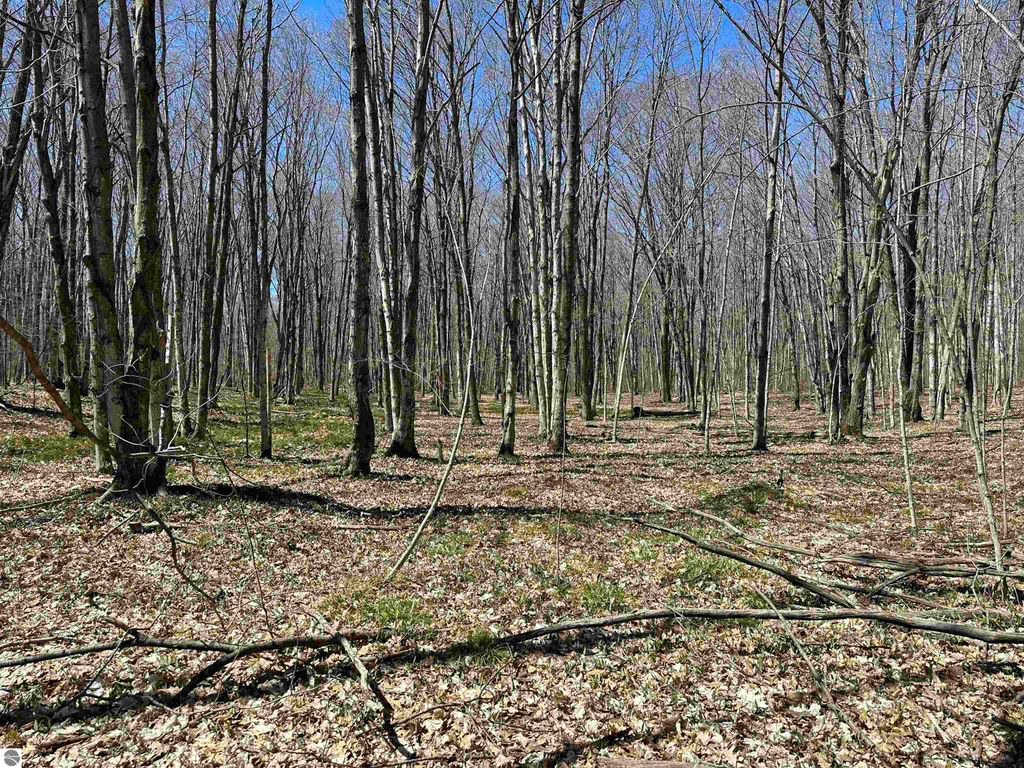 Photo of TBD Beaver Island Road, Beaver Island, MI 49782 (MLS # 1930152)