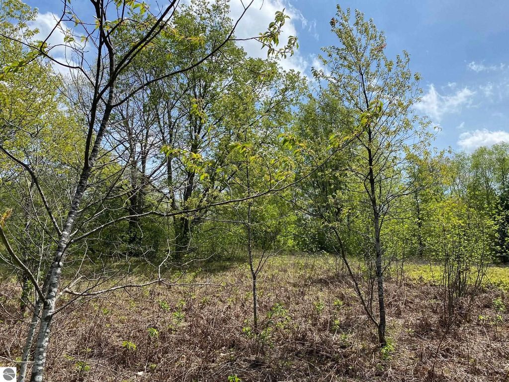 Photo of Crestview Drive #8, Cadillac, MI 49601 (MLS # 1932906)