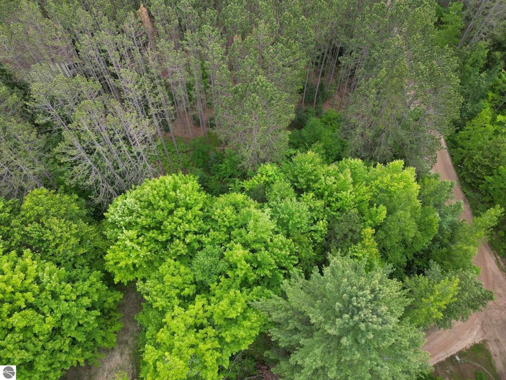 Photo of TBD Wintergreen, Farwell, MI 48622 (MLS # 1935105)