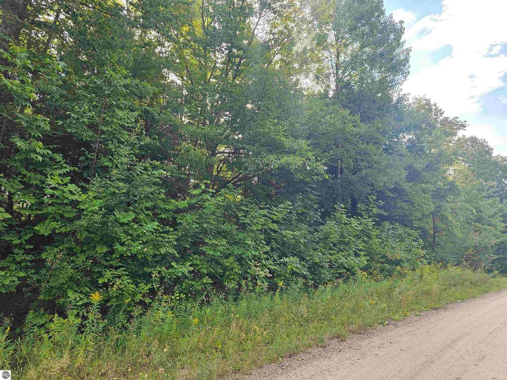 Photo of 000 Riverview Road, Mesick, MI 49668 (MLS # 1938372)