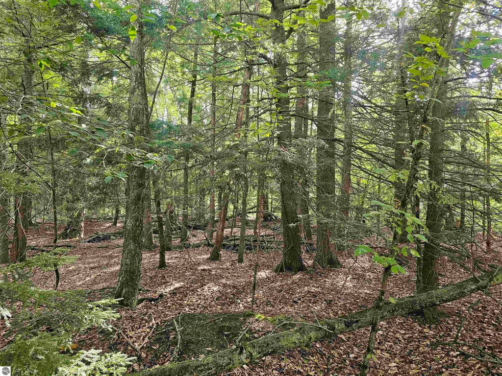 Photo of 000 Riverview Road, Mesick, MI 49668 (MLS # 1938372)