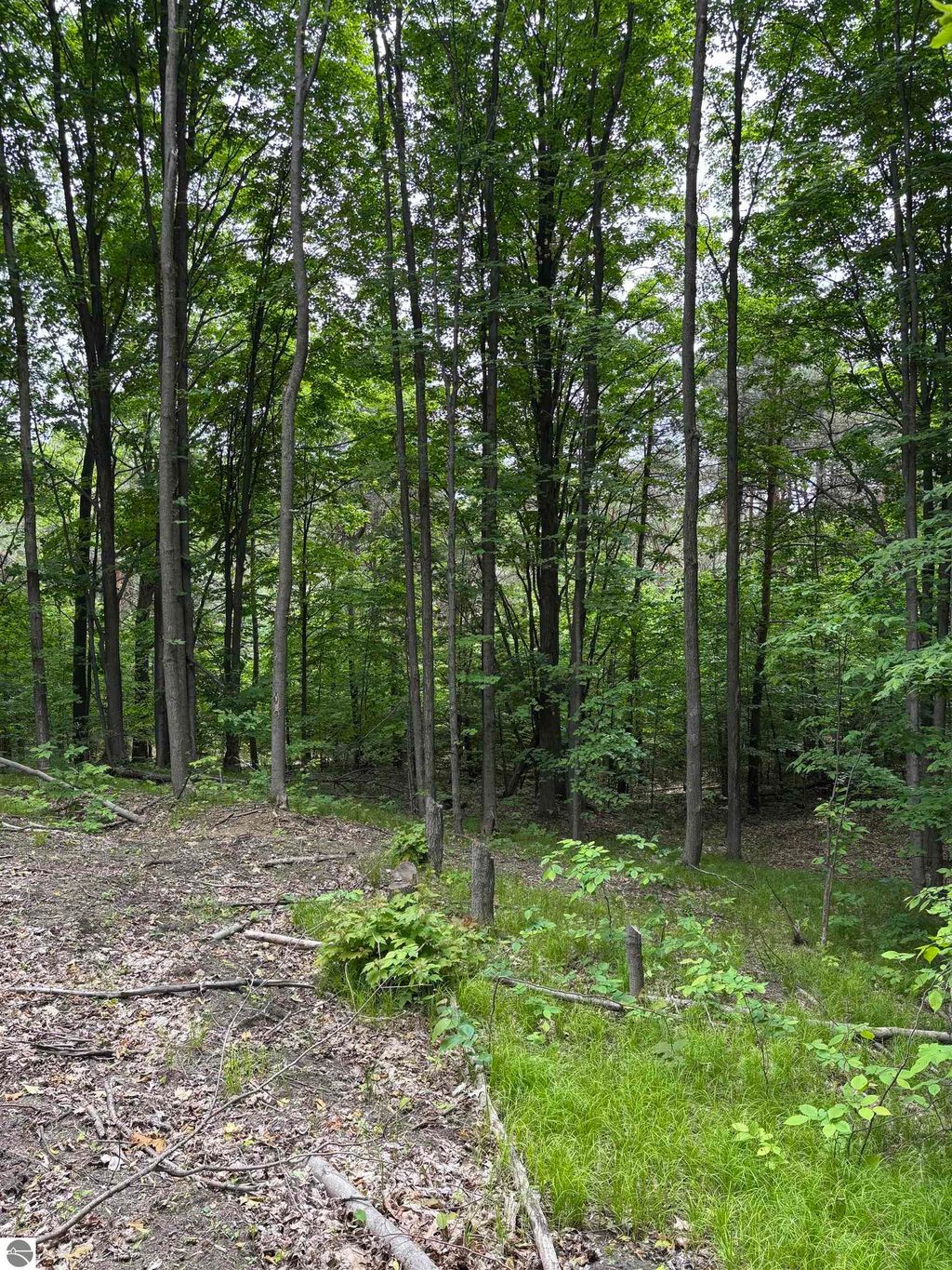 Photo of Parcel A N 45 Road, Manton, MI 49663 (MLS # 1935933)