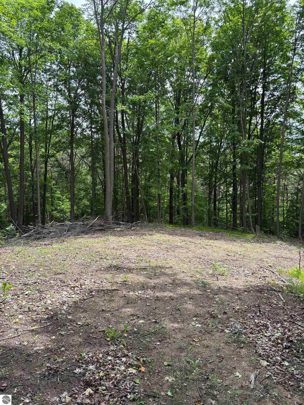 Photo of Parcel A N 45 Road, Manton, MI 49663 (MLS # 1935933)