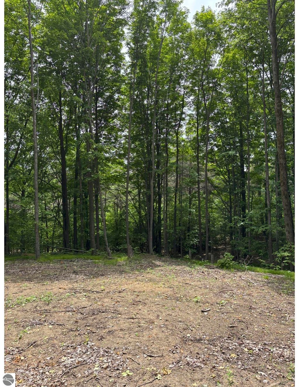 Photo of Parcel A N 45 Road, Manton, MI 49663 (MLS # 1935933)