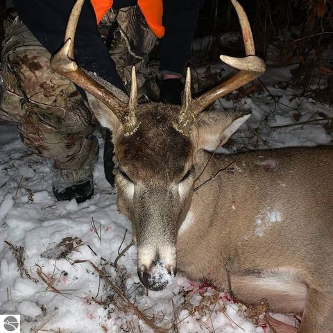 Tiny photo for 2354 Newman Road, Lake City, MI 49651 (MLS # 1940446)