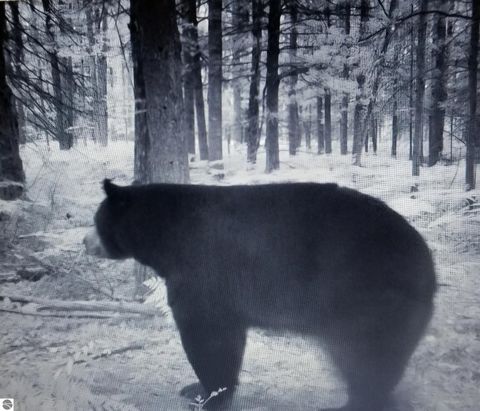 Tiny photo for 2354 Newman Road, Lake City, MI 49651 (MLS # 1940446)