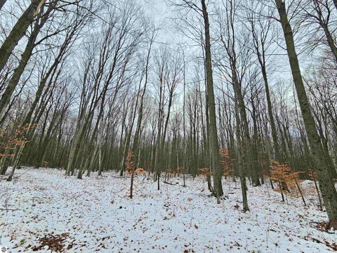 Tiny photo for 2354 Newman Road, Lake City, MI 49651 (MLS # 1940446)