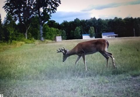 Tiny photo for 2354 Newman Road, Lake City, MI 49651 (MLS # 1940446)