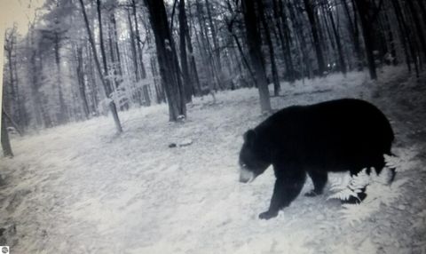 Tiny photo for 2354 Newman Road, Lake City, MI 49651 (MLS # 1940446)