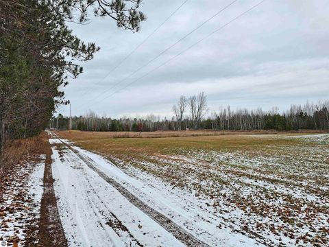 Tiny photo for 2354 Newman Road, Lake City, MI 49651 (MLS # 1940446)