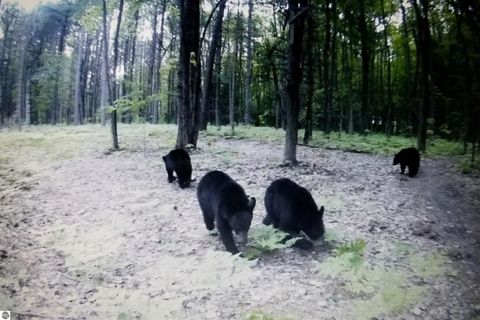 Tiny photo for 2354 Newman Road, Lake City, MI 49651 (MLS # 1940446)