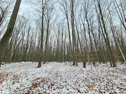 Tiny photo for 2354 Newman Road, Lake City, MI 49651 (MLS # 1940446)