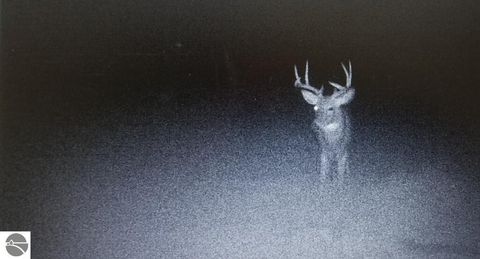 Tiny photo for 2354 Newman Road, Lake City, MI 49651 (MLS # 1940446)