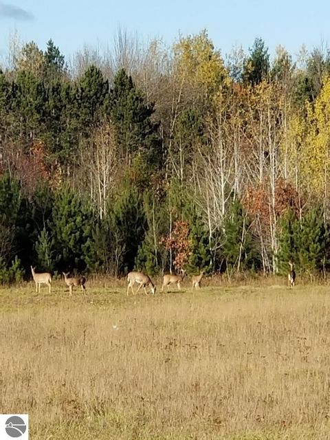 Tiny photo for 2354 Newman Road, Lake City, MI 49651 (MLS # 1940446)