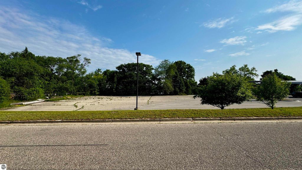 Photo of 208 Robertson Street, Cadillac, MI 49601 (MLS # 1935269)