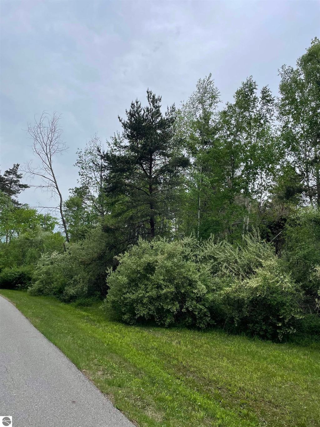 Photo of tbd S Mission Road, Mt Pleasant, MI 48858 (MLS # 1922235)