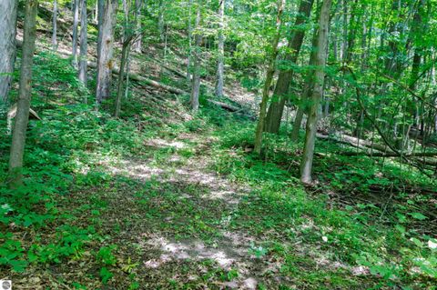 Tiny photo for 23920 Beers Road, Mesick, MI 49668 (MLS # 1940752)