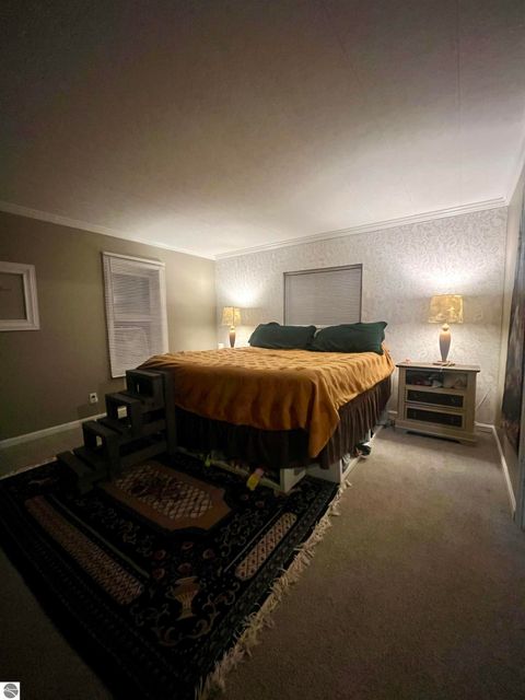 Tiny photo for 4266 W River Road, Mt Pleasant, MI 48858 (MLS # 1941139)