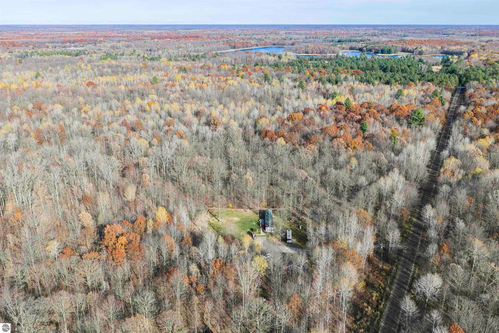 Photo of 10593 E Remus Road, Mt Pleasant, MI 48858 (MLS # 1940551)