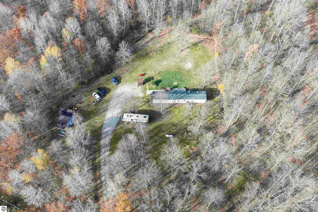 Photo of 10593 E Remus Road, Mt Pleasant, MI 48858 (MLS # 1940551)