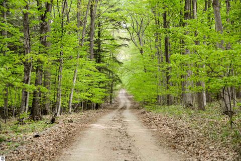 Tiny photo for 19777 Eagle Rise Road, Traverse City, MI 49686 (MLS # 1933704)