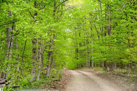 Tiny photo for 19777 Eagle Rise Road, Traverse City, MI 49686 (MLS # 1933704)