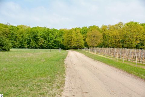 Tiny photo for 19777 Eagle Rise Road, Traverse City, MI 49686 (MLS # 1933704)