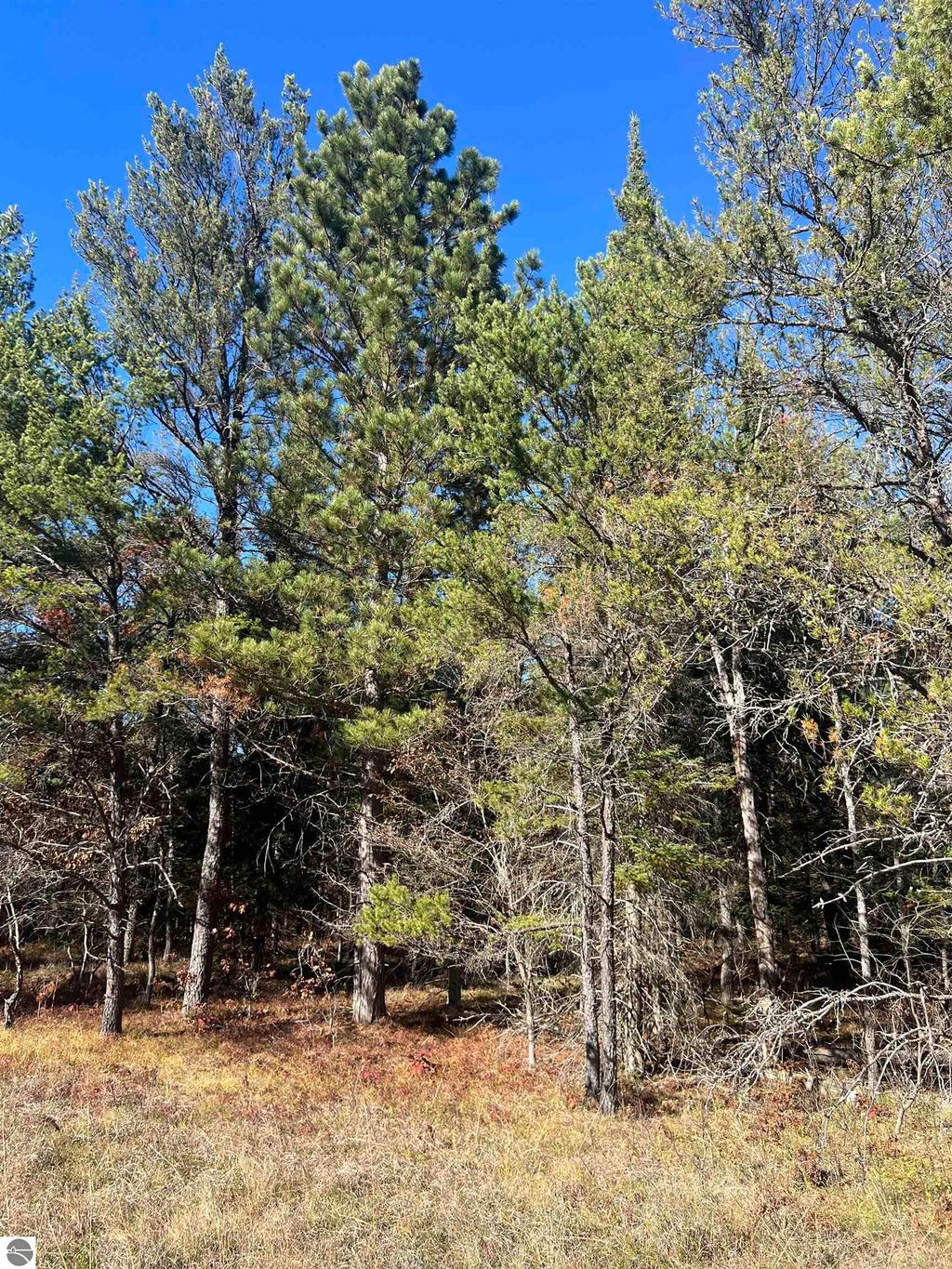 Photo of 00 E North Down River Road, Grayling, MI 49738 (MLS # 1940042)