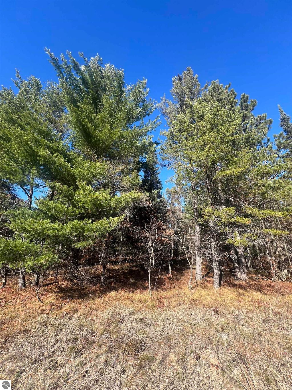 Photo of 00 E North Down River Road, Grayling, MI 49738 (MLS # 1940042)