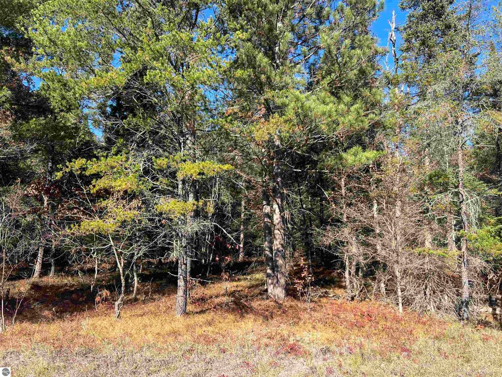 Photo of 00 E North Down River Road, Grayling, MI 49738 (MLS # 1940042)