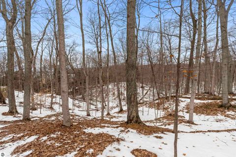 Tiny photo for 3151 Crystal Drive, Beulah, MI 49617 (MLS # 1941314)