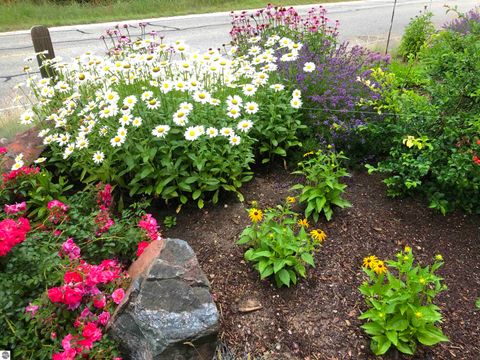 Tiny photo for 3151 Crystal Drive, Beulah, MI 49617 (MLS # 1941314)