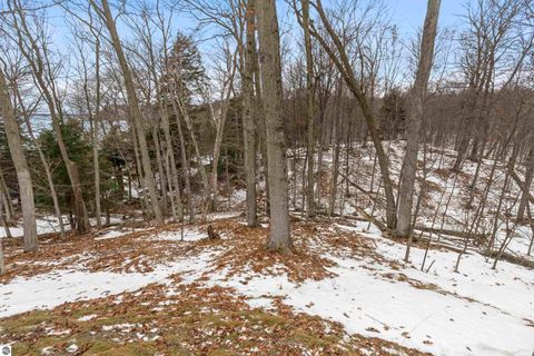 Tiny photo for 3151 Crystal Drive, Beulah, MI 49617 (MLS # 1941314)
